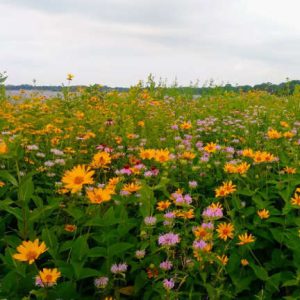 107764-3044828-d280a062_f